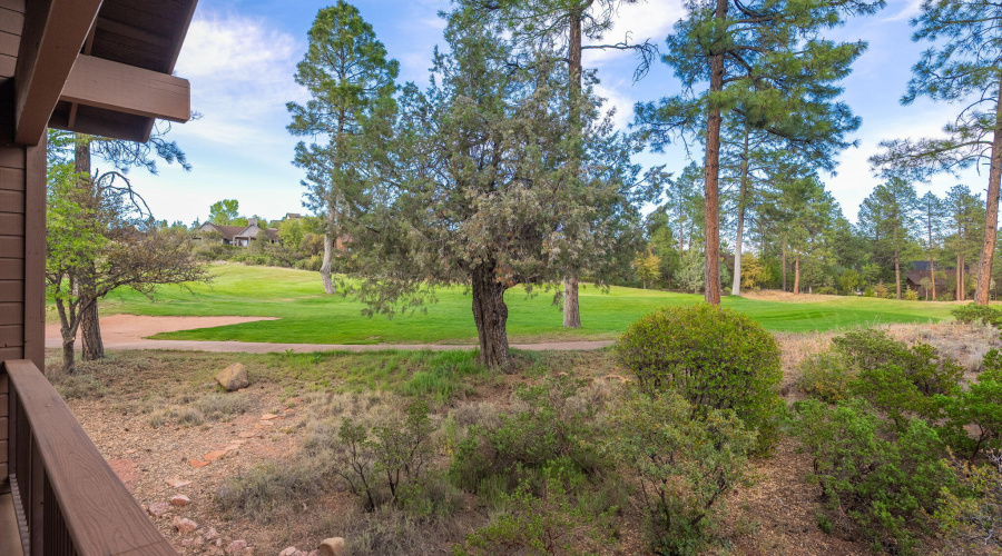 2404 E Scarlet Bugler Cir - 40