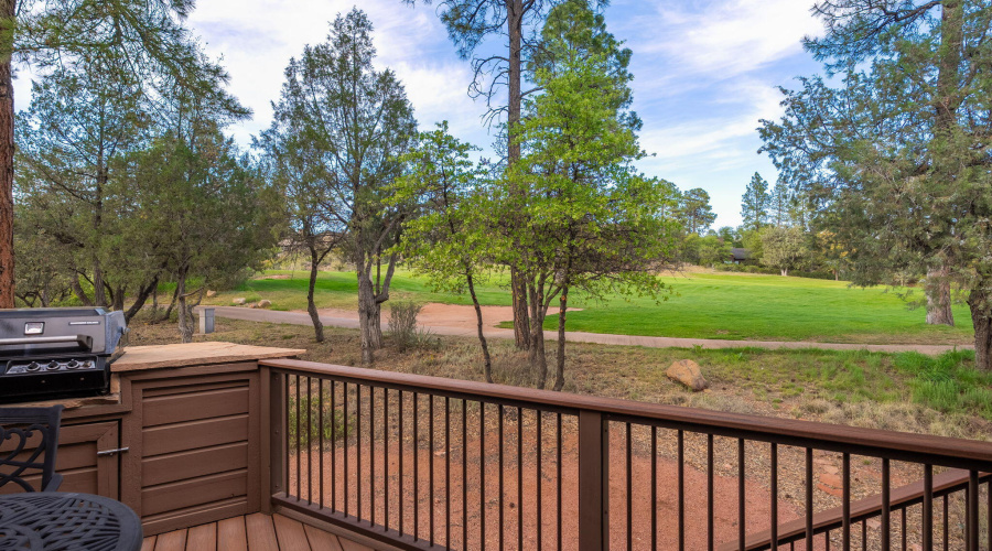 2404 E Scarlet Bugler Cir - 42