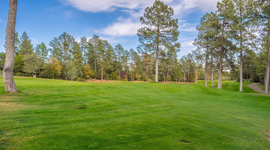 2404 E Scarlet Bugler Cir - 50