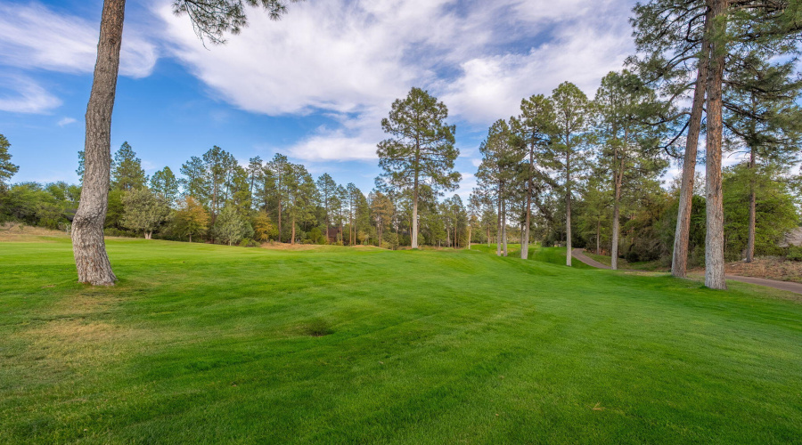 2404 E Scarlet Bugler Cir - 51