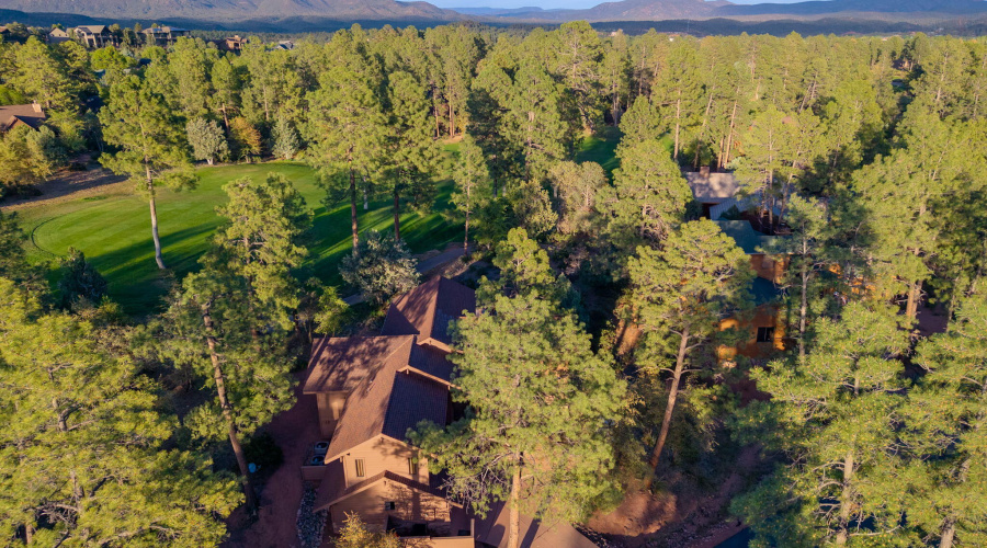 2404 E Scarlet Bugler Cir - 67