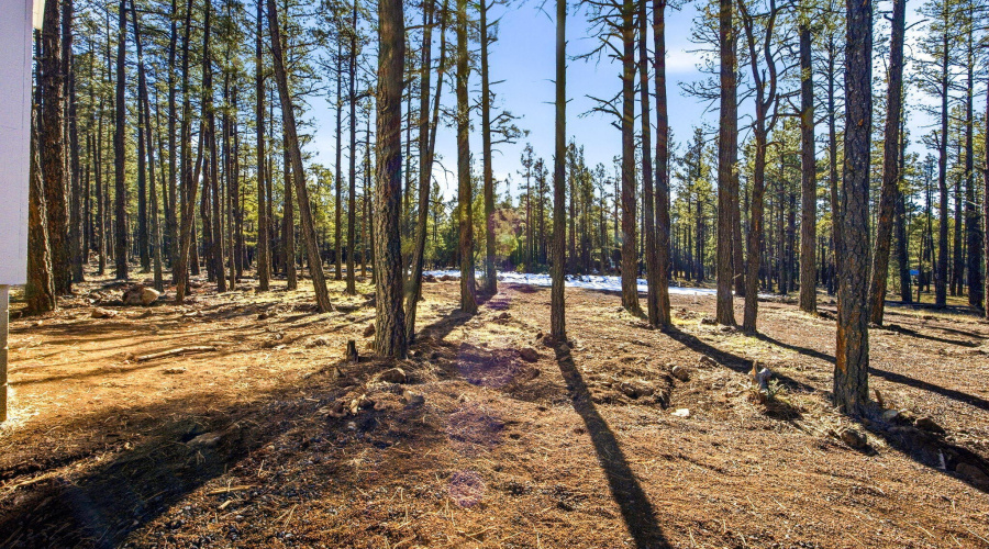 903BirdsongWay-Lakeside-AZ-24