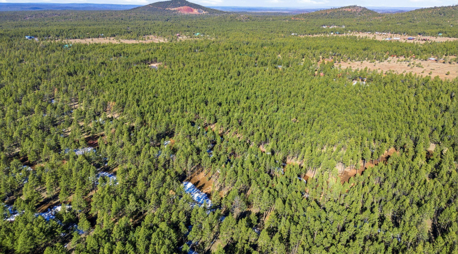 903BirdsongWay-Lakeside-AZ-30