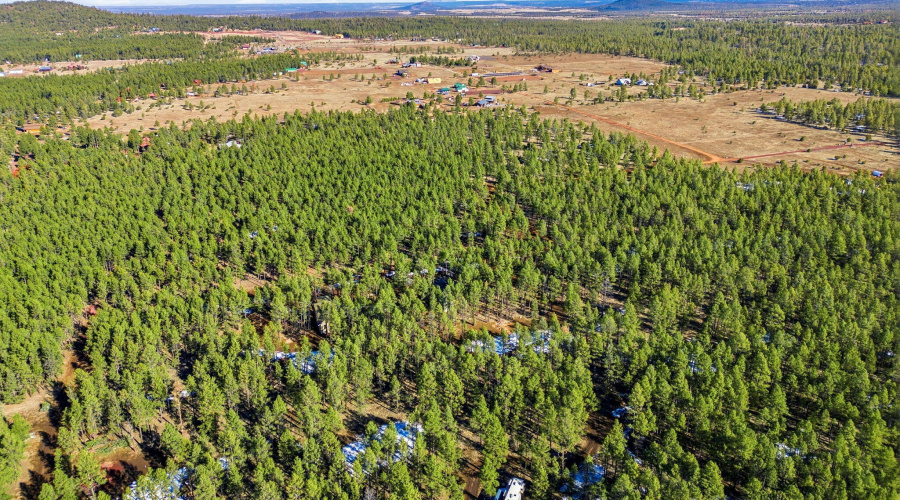 903BirdsongWay-Lakeside-AZ-31
