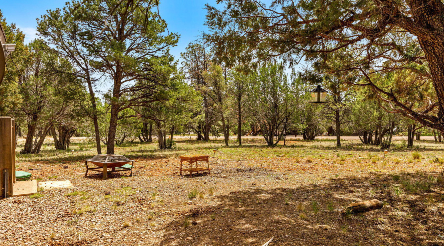 2746KittyHawkLn-Heber-AZ-28