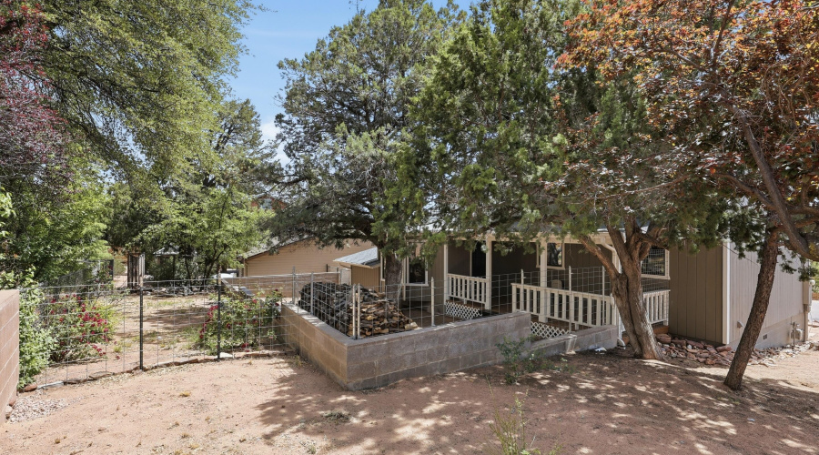 Back Yard (4)