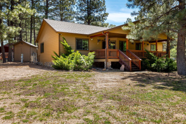 1320 Elk Drive, Forest Lakes, Arizona 85931, Bedrooms, ,Bathrooms,Residential,For Sale,Elk,93907