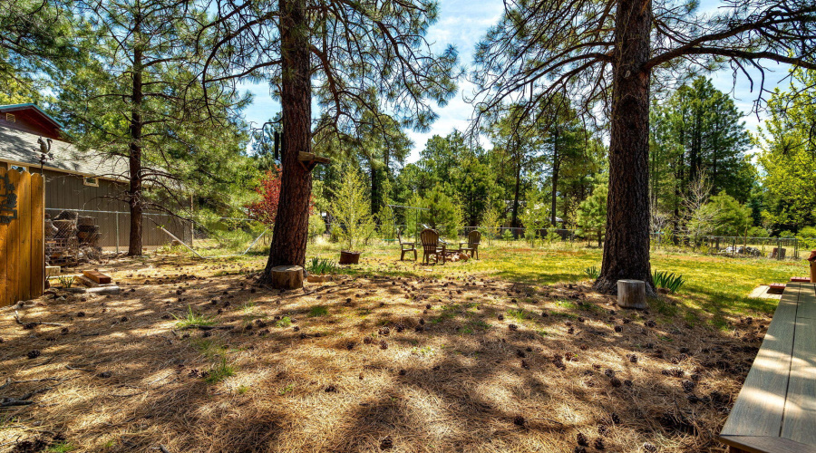 1320ElkDr-ForestLakes-AZ-29