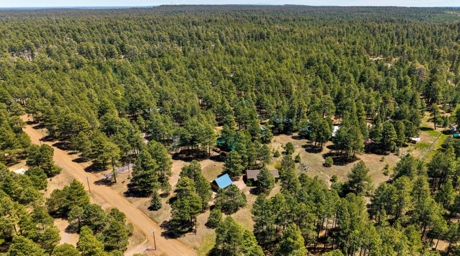 1320ElkDr-ForestLakes-AZ-39
