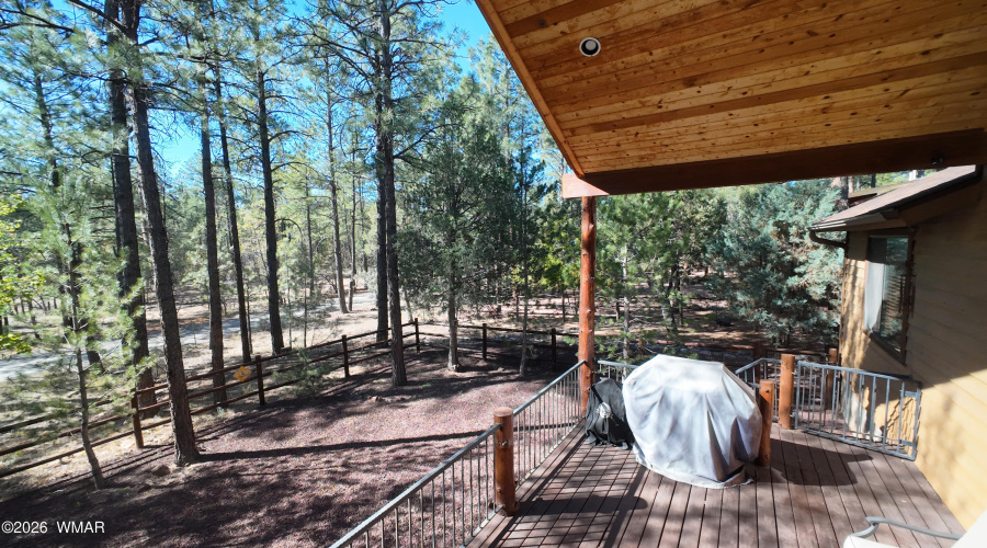 from back patio 2