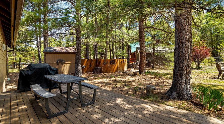 1320ElkDr-ForestLakes-AZ-25