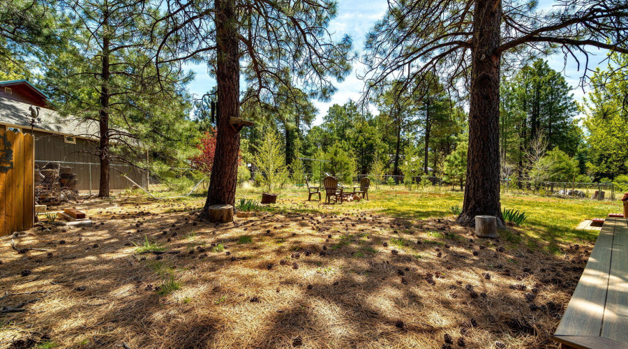 1320ElkDr-ForestLakes-AZ-29