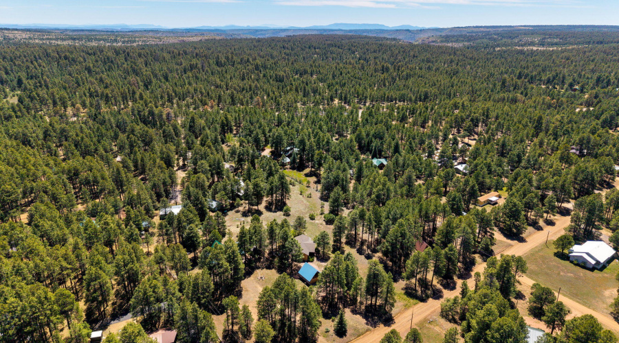 1320ElkDr-ForestLakes-AZ-41