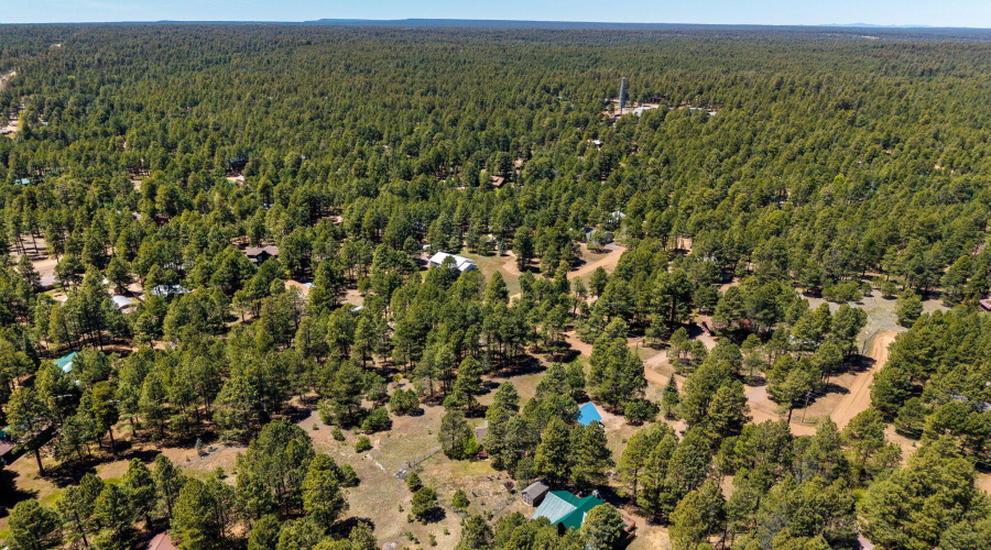 1320ElkDr-ForestLakes-AZ-42