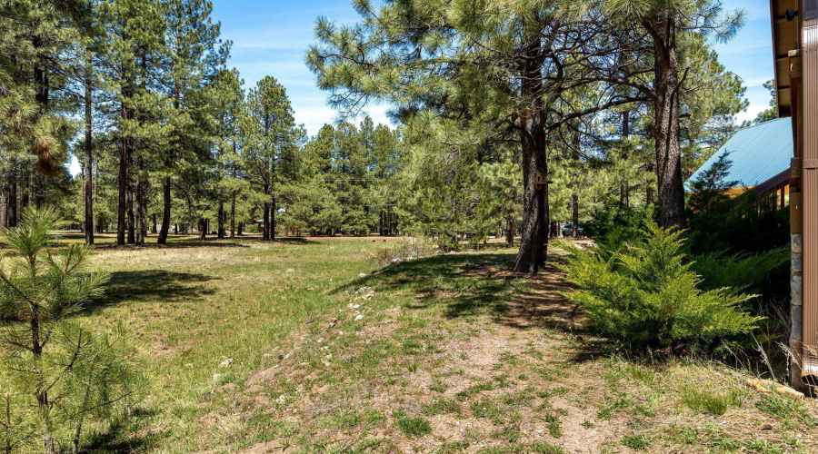 1320ElkDr-ForestLakes-AZ-4