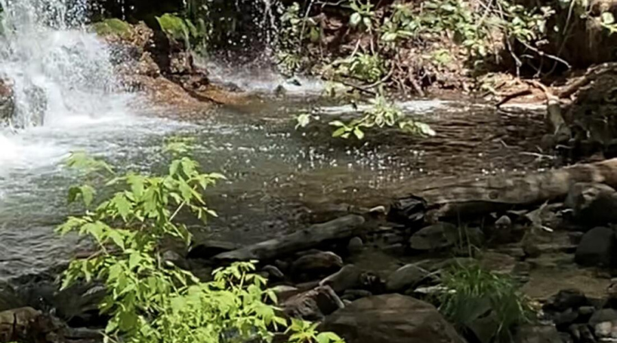 swimming hole