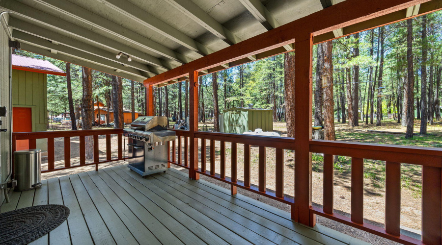 BACK DECK