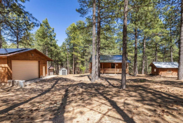 341 Pinto Road, Forest Lakes, Arizona 85931, Bedrooms, ,Bathrooms,Residential,For Sale,Pinto,93918