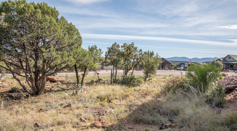 Lot View 8