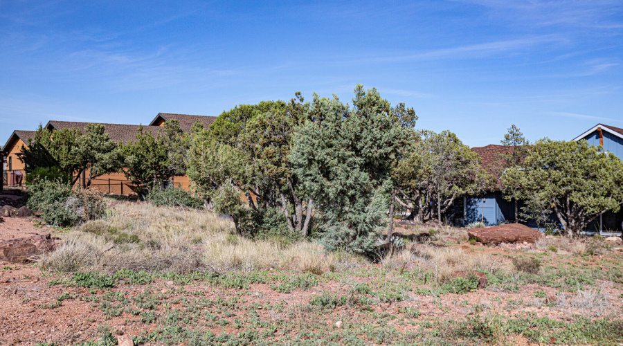 Lot View 1