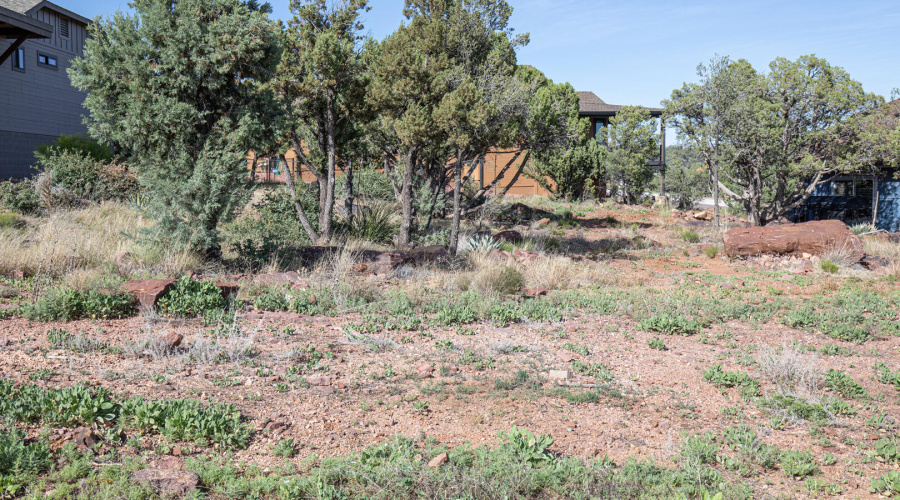 Lot View 2