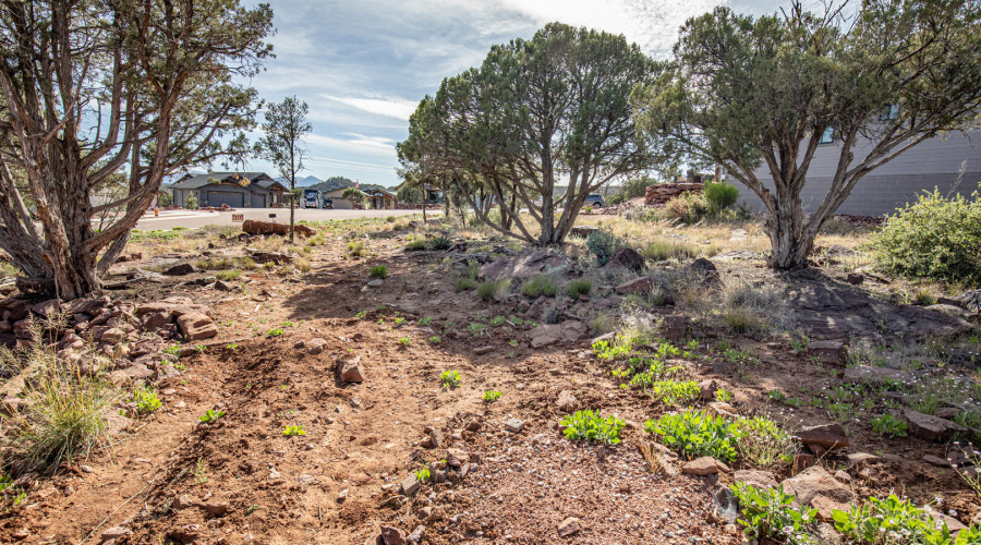 Lot View 5