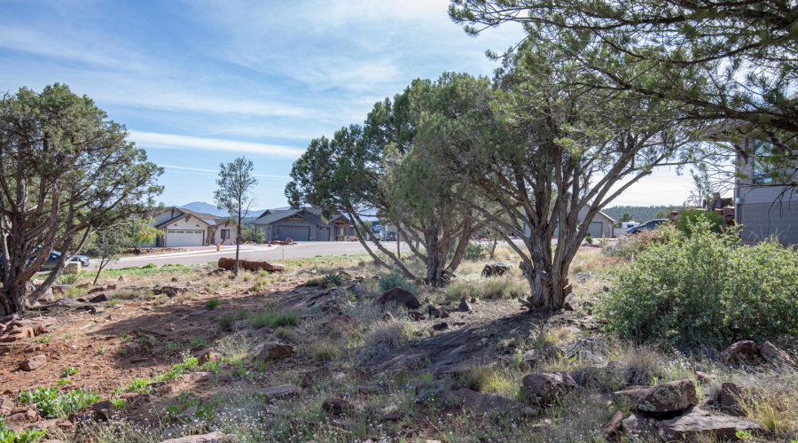 Lot View 6