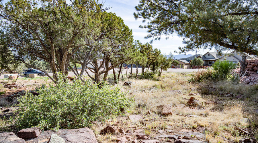 Lot View 7