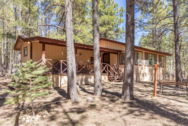 2224 Daisy Trail, Forest Lakes, Arizona 85931, Bedrooms, ,Residential,For Sale,Daisy,93916