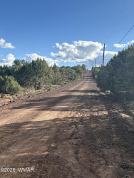 25 County Road 8238 Road, Vernon, Arizona 85940, ,Land,For Sale,County Road 8238,260802