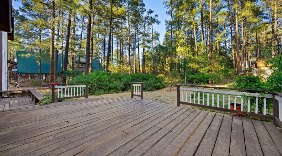 Rear Patio