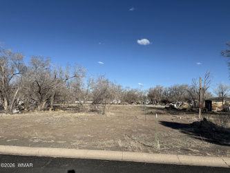 TBD US-180, Springerville, Arizona 85938, ,Land,For Sale,US-180,260805