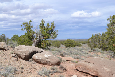 32 N8544, Concho, Arizona 85924, ,Land,For Sale,N8544,260648