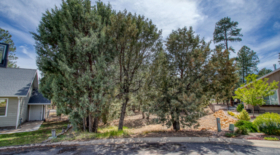 1541 W Huning, Show Low, AZ