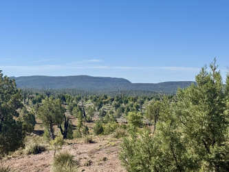 744 Antelope Trail, Payson, Arizona 85541, ,Land,For Sale,Antelope,93923