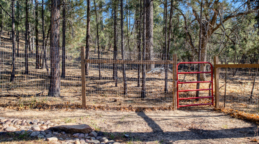 Paxmanphoto_PAX_1783