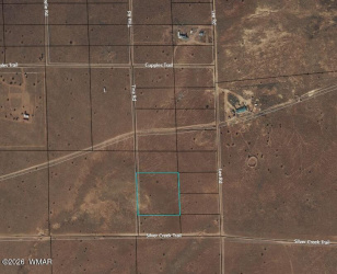 5195 Tina Road, Snowflake, Arizona 85937, ,Land,For Sale,Tina,260822
