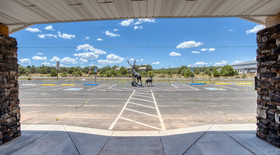 paxmanphotography_PAX_9934