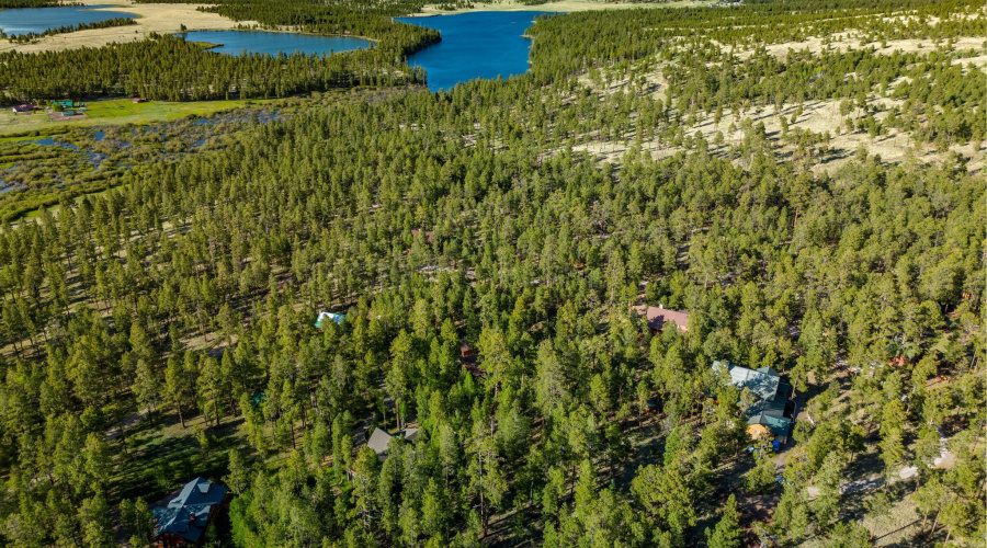 Parcel10257022-Greer-AZ-Summer-8