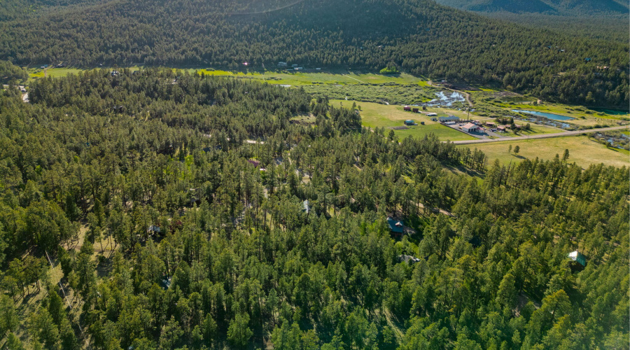 Parcel10257022-Greer-AZ-Summer-6