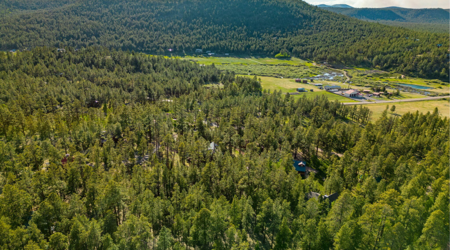 Parcel10257022-Greer-AZ-Summer-4