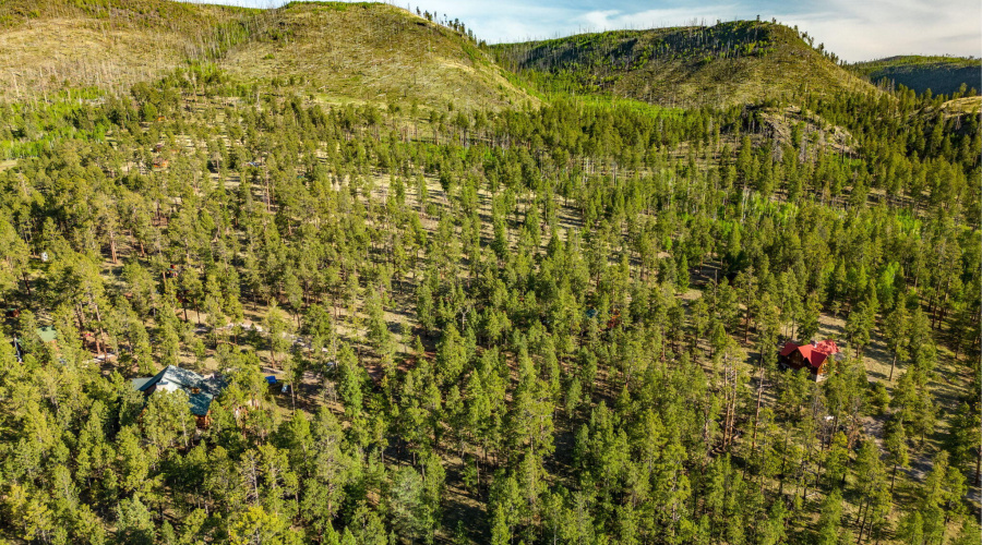 Parcel10257022-Greer-AZ-Summer-10