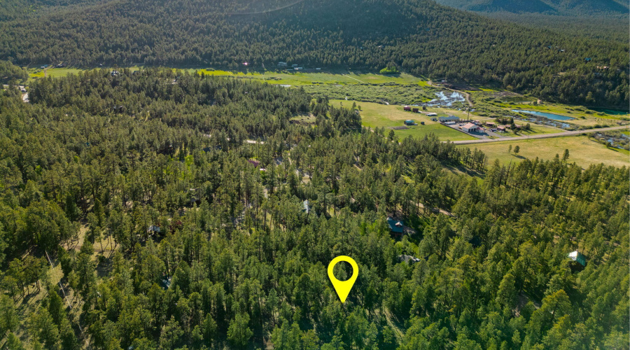 Parcel10257022-Greer-AZ-Summer-5