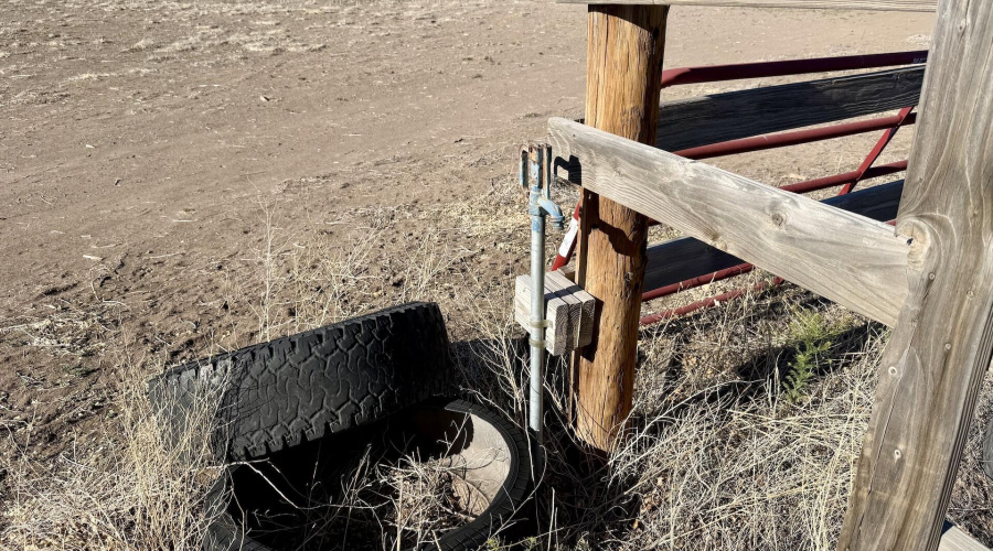 no freeze pipe