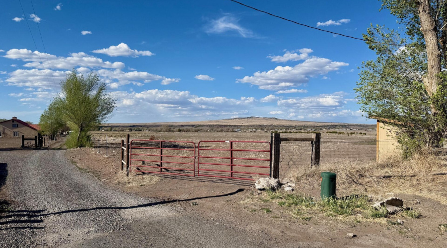 Front Gate to property
