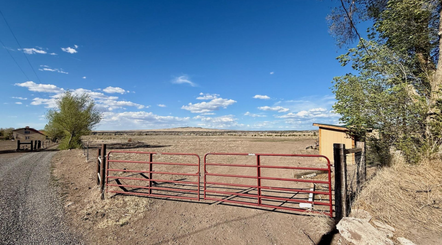 Front Gate