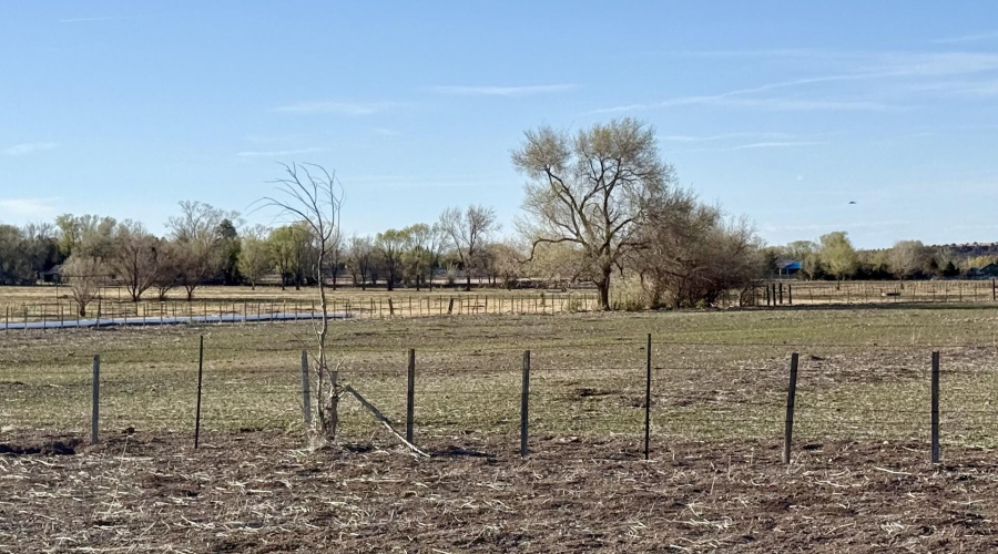 Fencing to the west