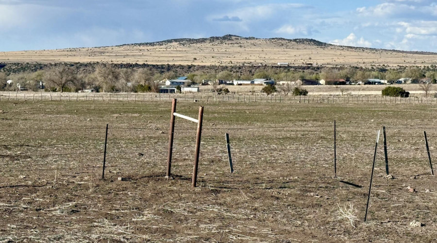 fencing