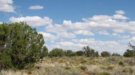 TBD Chevelon Canyon Ranch lot 363, Heber, Arizona 85928, ,Land,For Sale,Chevelon Canyon Ranch lot 363,257002
