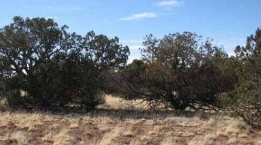 41 acres